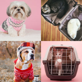 Pet Supplies - Pet Boutique