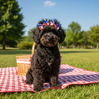 Two American flag-themed canine hair bows on a white background