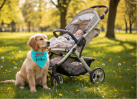 Big Brother Dog Bandana - Turquoise / S or L