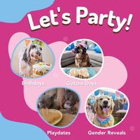 Dog Birthday Cake Kit with Pupfetti Sprinkles + Bone Shaped Reusable Pan