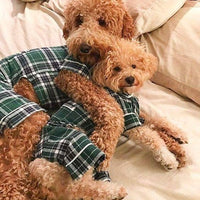 Dog Flannel Pajamas - Green Plaid