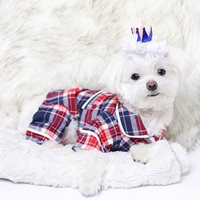 Small white dog wearing a red and blue plaid outfit with a crown on a white background