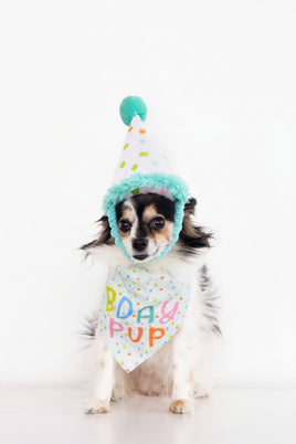 Pet Birthday Hat and Bandana Photo Prop Set