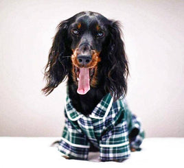 Dog Flannel Pajamas - Green Plaid