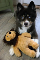 Lion Plush Squeaky Dog Toy - Large or Small