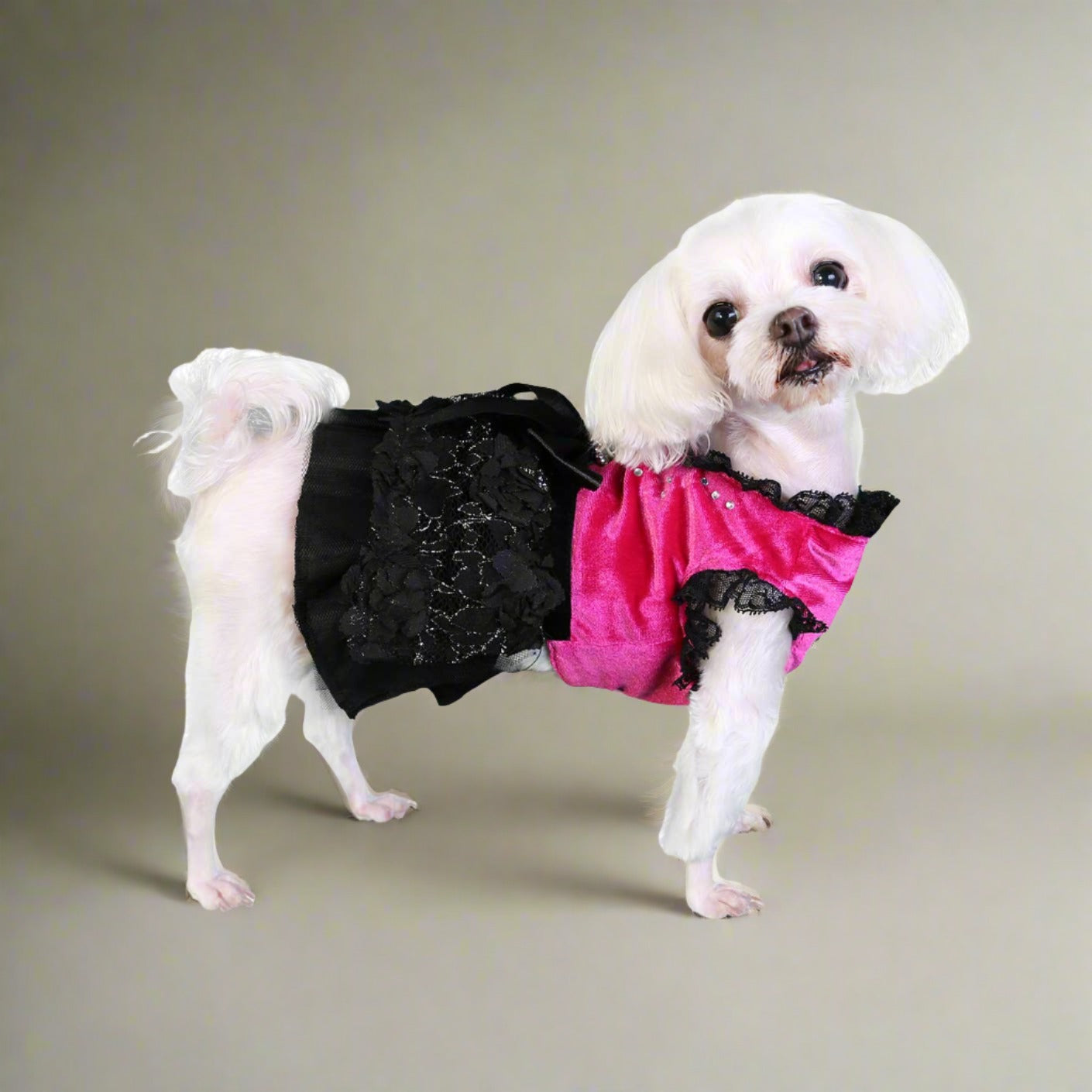 Pooch Outfitters PPPD2-XS Paris Party Dress, Pink