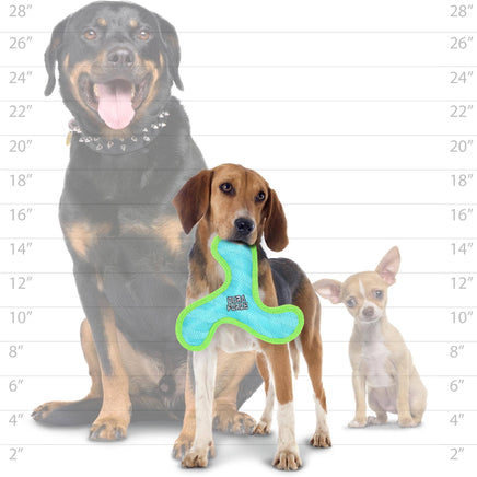 Three dogs with a toy against a measurement chart background