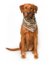 Dog Bandana - The Alta Tartan Classic Plaid - Tan