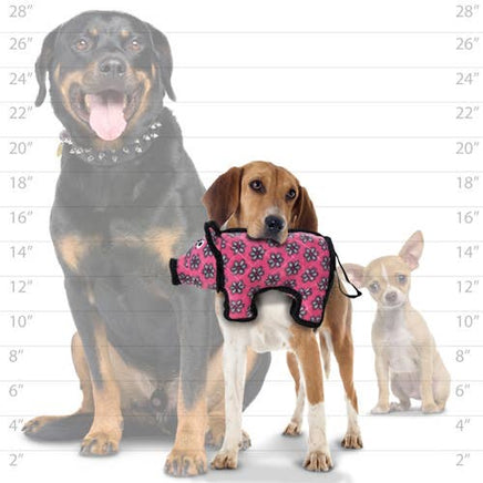 Three dogs with a pink and black dog toy against a measurement chart background