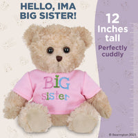 Teddy bear wearing a 'Big sister' shirt with text about size and cuddliness on a light background