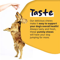 Healthy Pup Multi Max All-In-One Dog Multivitamin - 120 count