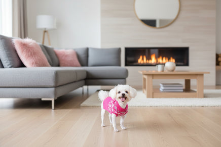 white dog wearing a cute pink swater