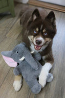 Dog playing with a stuffed elephant toy on a wooden floor