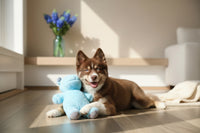 Dog playing with a blue rhino toy on a wooden floor.