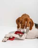 Bolt Bite Dog Chew Toy - By Wild One - New!