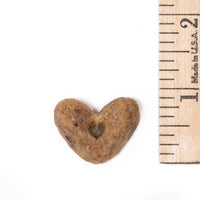 Pro Bakery Bites Soft Baked - Sweet Potato Pie - Added Probiotics