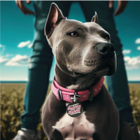 Pet ID Tag with engraved QR Code - Daddies Baddie - Black