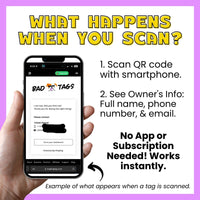 Hand holding a smartphone displaying a QR code scanning app with text explaining the process when you purchase a QR code dog id tag
