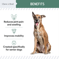 Senior Advanced Hip and Joint Soft Chews - 60 Ct