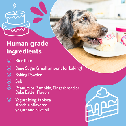 Dog eating from a plate with human-grade ingredients list on a pink and blue background