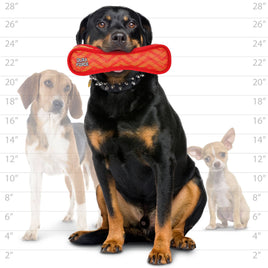 Dog holding a red chew toy with measurement chart in the background
