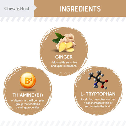 Ingredients of a product with ginger, thiamine (B1), and L-tryptophan listed on a white background.