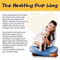 Healthy Pup Multi Max All-In-One Dog Multivitamin - 120 count