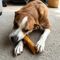 Filled Dog Bone / Bone Filled with Peanut Butter - Small & Large