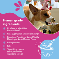 Dog celebrating a birthday with a cake, surrounded by human-grade ingredients list on a pink and blue background.