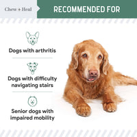 Senior Advanced Hip and Joint Soft Chews - 60 Ct