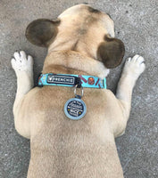 Personalized Dog ID Tag with QR CODE - Can't Have Nice Things