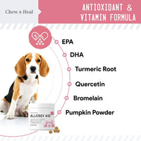 Dog with 'Allergy Aid' supplement packaging and list of ingredients on a white background
