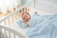 Blue teddy bear and blanket set on a white background
