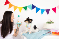 Pet Birthday Bandana and Hat Set - 2 Pc