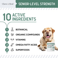 Dog with a supplement container labeled 'Senior Hip & Joint' featuring 10 active ingredients on a white background.