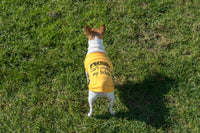cute yellow with black embroidered writing dog tee shirt that says Cant Control my Licker 