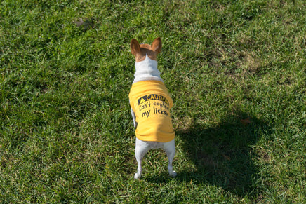 cute yellow with black embroidered writing dog tee shirt that says Cant Control my Licker 