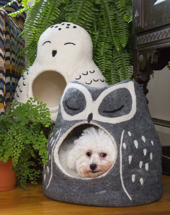 Dog peeking out from an owl-shaped pet bed with plants in the background