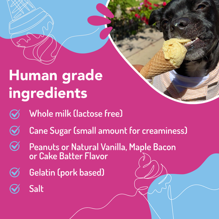 Dog eating ice cream with a list of human-grade ingredients on a pink background