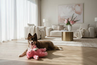 Dog lying on a wooden floor with a pink plush toy