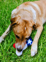 Texas flag dog toy with squeaker