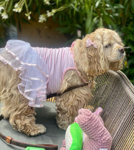Dog wearing a pink outfit with a white ruffled skirt, sitting on a chair next to a pink plush toy.