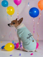 Pet Birthday Boy Dog Tee Shirt - Light Turquoise