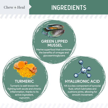 Ingredients of a product with green lipped mussel, turmeric, and hyaluronic acid highlighted.