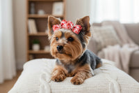 Two red and white heart-patterned dog  bows with silver centers on a white background