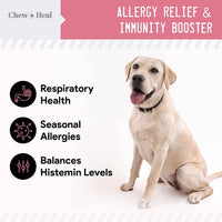 Dog sitting on a white background with text about allergy relief and immunity booster, featuring the brand 'Chew + Heal'.