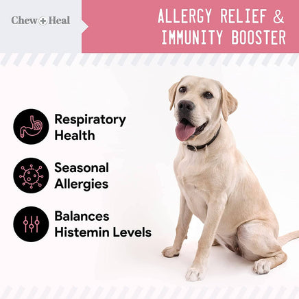 Dog sitting on a white background with text about allergy relief and immunity booster, featuring the brand 'Chew + Heal'.