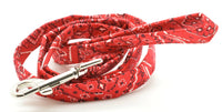 Dog Leashes - Fun Patterns