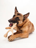 BetterBone HARD -Durable All Natural Dog Toy / Small or Large