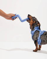 Bolt Bite Dog Chew Toy - By Wild One - New!